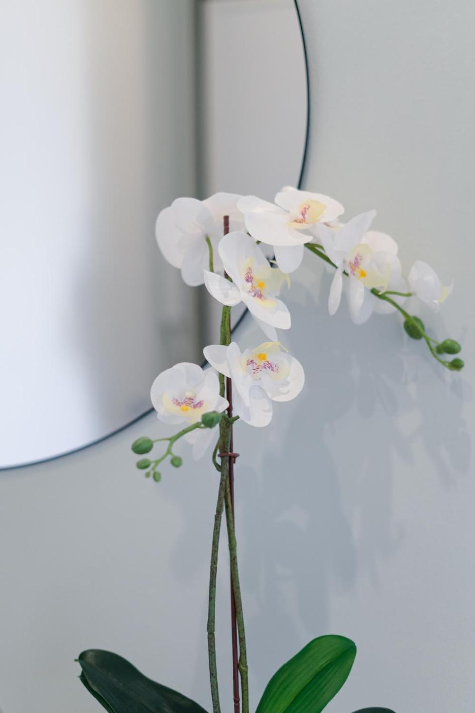 Firenze - Cozy House Apartamento